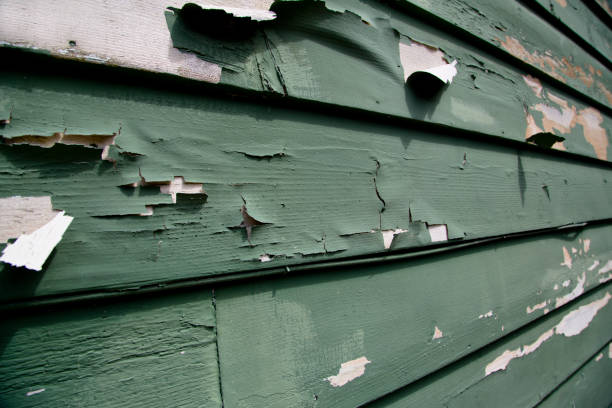 Best Construction Debris Removal  in Portage, PA